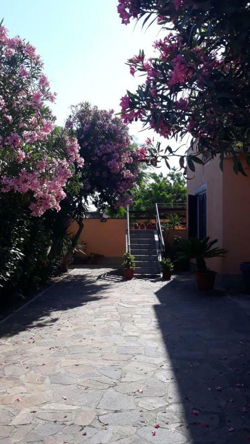 B&B Fiumicino Airport Resort Dış mekan fotoğraf