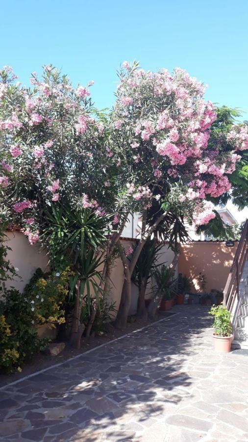 B&B Fiumicino Airport Resort Dış mekan fotoğraf
