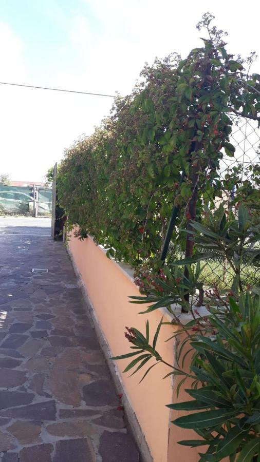 B&B Fiumicino Airport Resort Dış mekan fotoğraf