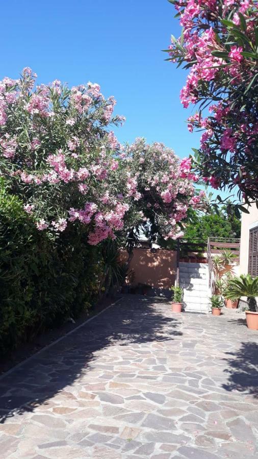 B&B Fiumicino Airport Resort Dış mekan fotoğraf